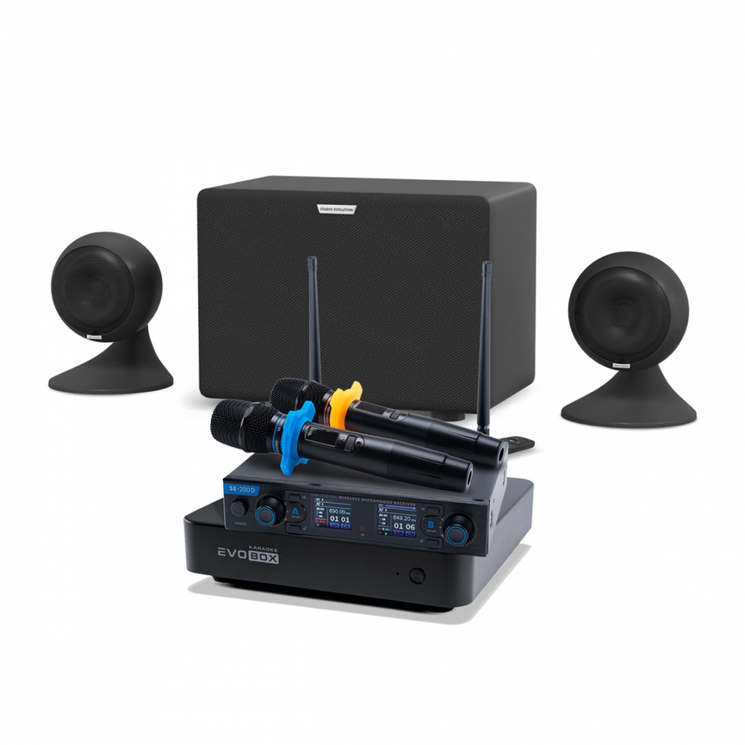 караоке-комплект EVOBOX + EvoSound Sphere 2.1 в Ногинске