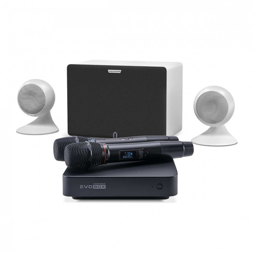 караоке-комплект EVOBOX Classic + EvoSound Sphere 2.1 в Ногинске