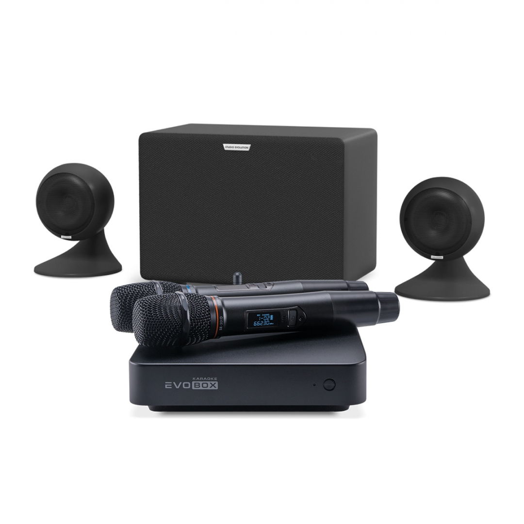 караоке-комплект EVOBOX Plus + EvoSound Sphere 2.1 в Ногинске