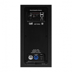 Активная акустическая система AST-310A в Ногинске