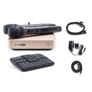 EVOBOX Classic караоке-система для дома в Ногинске