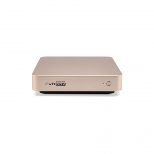 EVOBOX с микрофонами в Ногинске